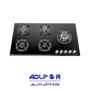 Alton IG529 built in two burner gas stove